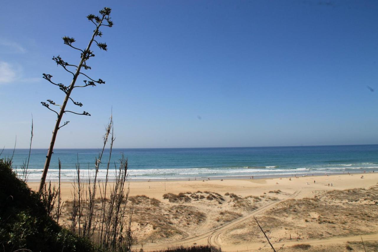 Estudio En El Centro De Conil كونيل ذي لا فرونتيرا المظهر الخارجي الصورة